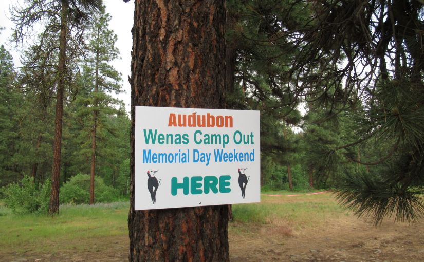 Wenas 2020…………. March 28,&nbsp;2020